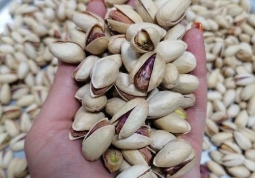 قیمت خرید پسته سفید فیض آباد + فروش ویژه